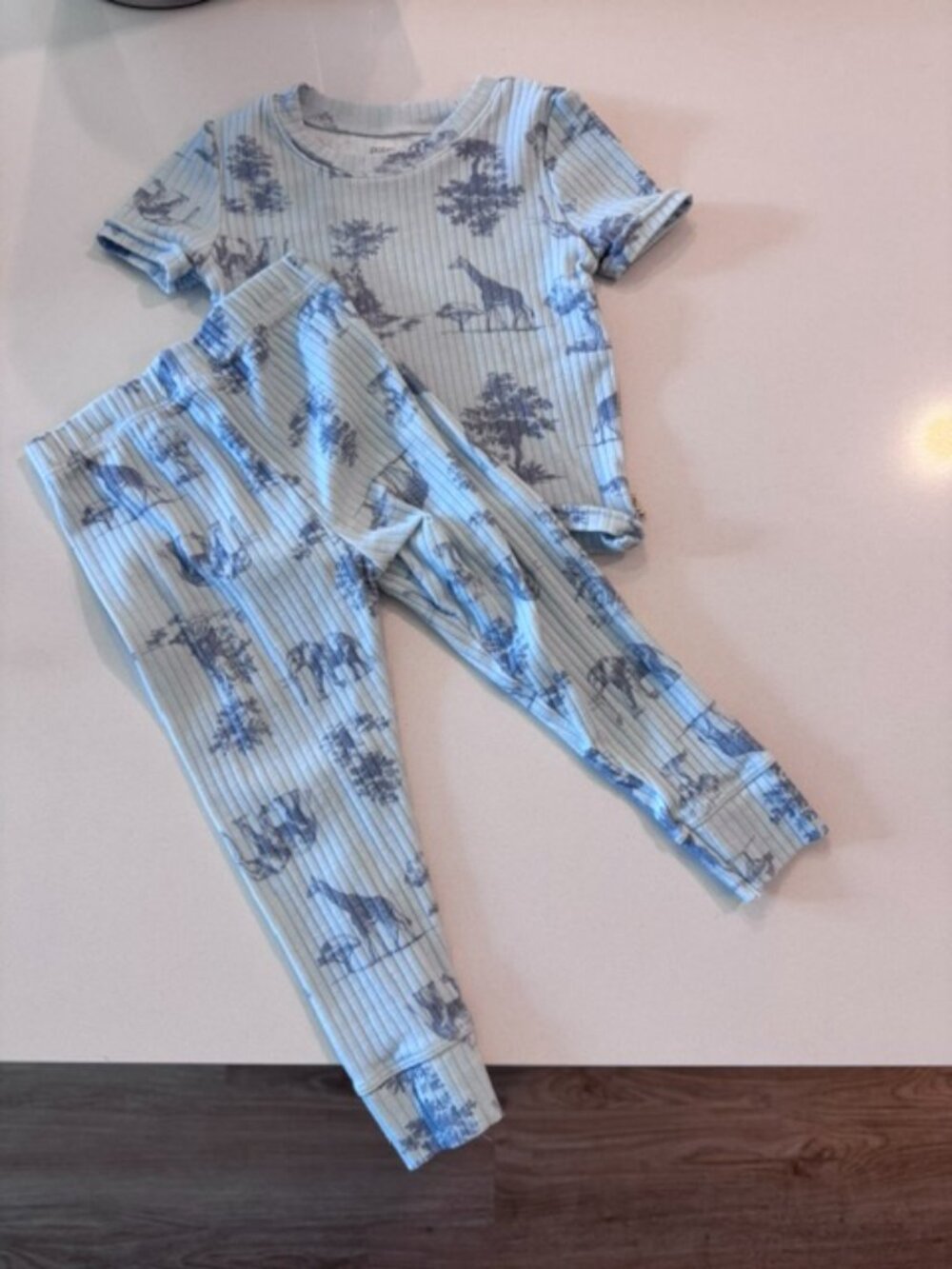 Poppy & Clay Organic Cotton Safari Pajama Set 18M Blue